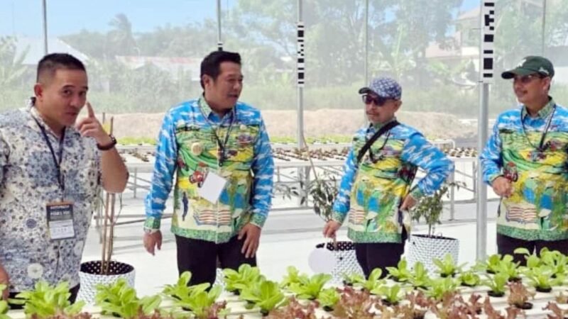 Kunjungi Gelar Teknologi PENAS XVII, Wabup Barut Dorong Penerapan Teknologi Tingkatkan Produktivitas