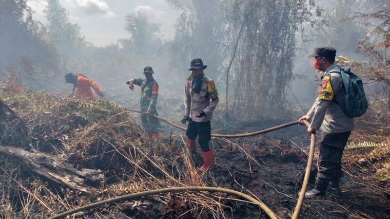 Cek Titik Hotspot, Polsek Pahandut Bersama Tim Gabungan Lakukan Pemadaman Karhutla