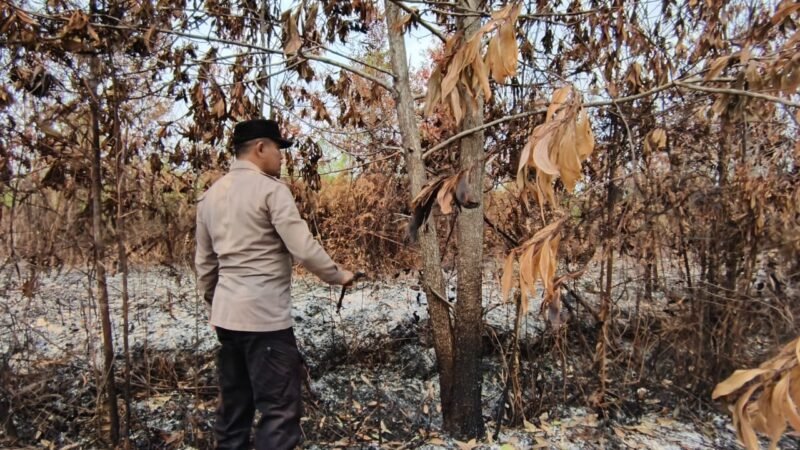 Polsek Rakumpit Pantau Kondisi Hot Spot Karhutla Seluas 5 Hektare di Kelurahan Bukit Sua