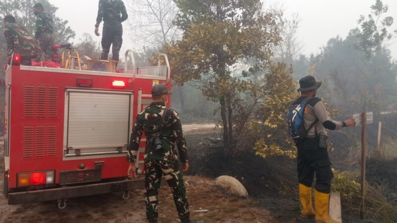 Cek Hotspot, Polsek Pahandut Bersama Relawan Padamkan Karhutla di Panarung