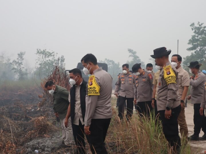 Kapolresta Palangka Raya Dampingi Aslog Kapolri Tinjau Penanganan Karhutla di Jalan Manduhara
